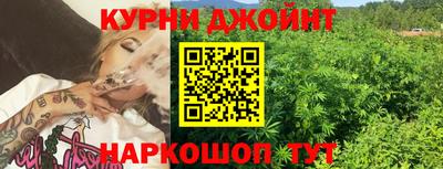 МДПВ Добрянка