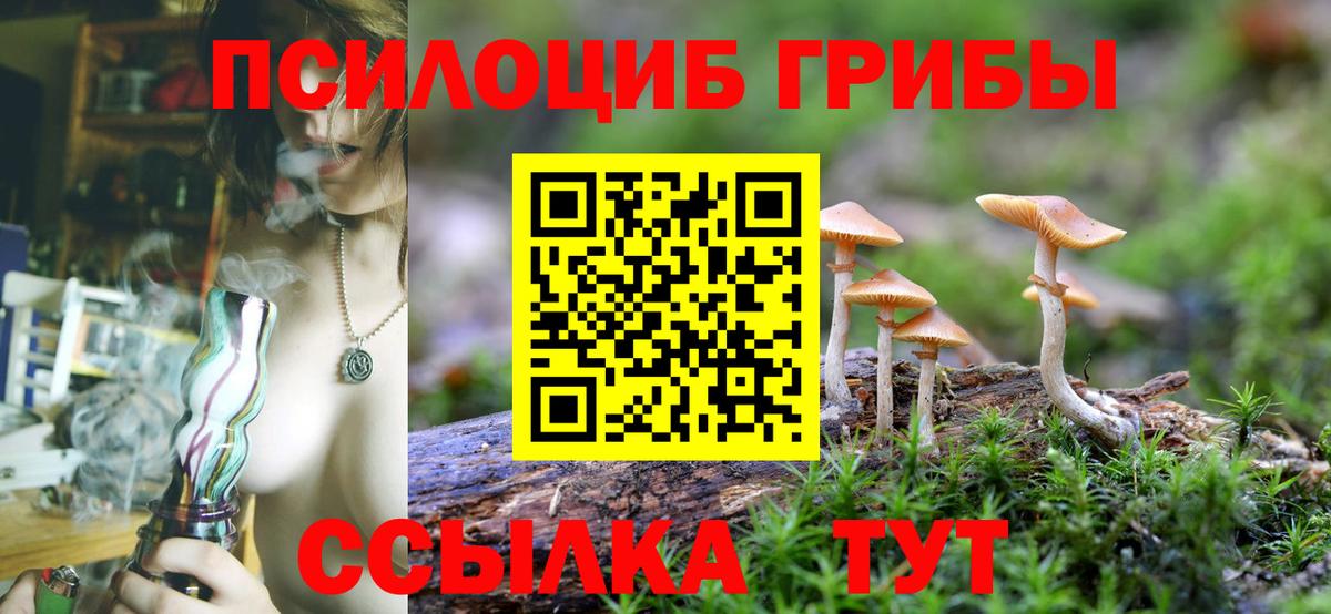 Псилоцибиновые грибы мицелий  Галлюциногенные грибы Psilocybine cubensis  Будённовск  цена   Вход с VPN 